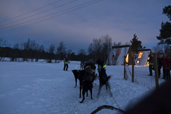 Kurz vor dem Start zur Schlittenfahrt
