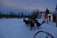 Die Hunde wollen endlich los