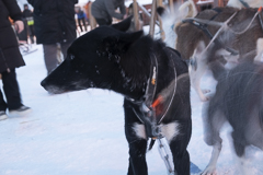Ein Zappelphillip vor der Kamera