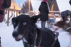 Zappelphillips tolle Augen, unscharf wegen Zappel
