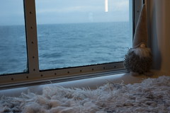 Die Wichtel beobachten und sehen alles