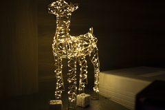 Noch einmal Weihnachtliches, mit Canon R7 aufgenommen