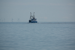 Ein Kutter vor Sylt